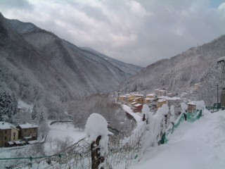  Image name: DSCF3856.JPG 
 width: 320 pixel 
 height: 240 pixel 
 Size: 19778 bytes 
 Click to enlarge 